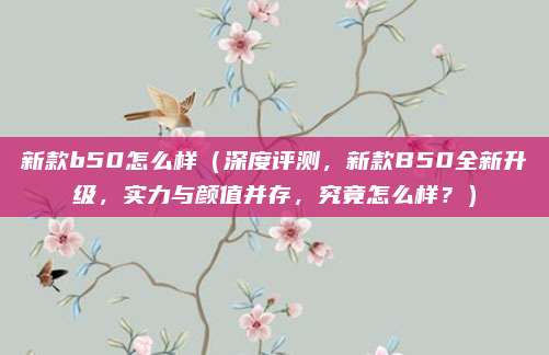 新款b50怎么样（深度评测，新款B50全新升级，实力与颜值并存，究竟怎么样？）