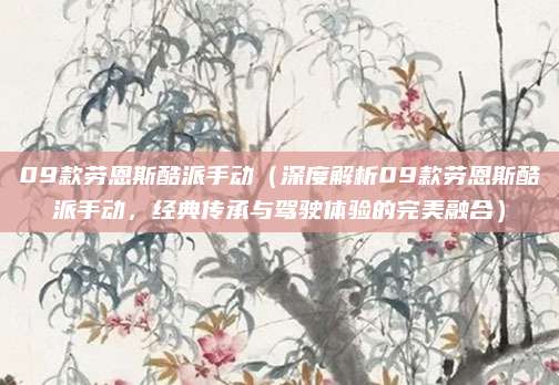 09款劳恩斯酷派手动（深度解析09款劳恩斯酷派手动，经典传承与驾驶体验的完美融合）