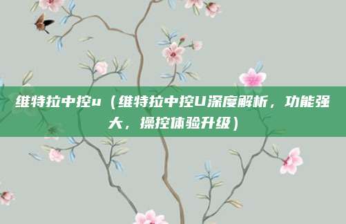 维特拉中控u（维特拉中控U深度解析，功能强大，操控体验升级）