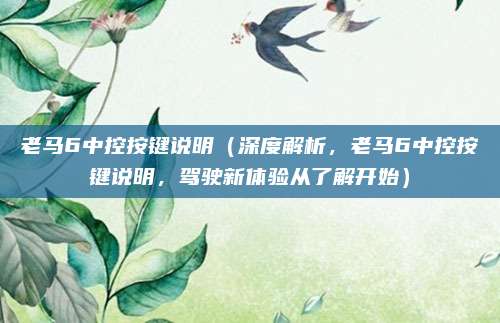 老马6中控按键说明(深度解析,老马6中控按键说明,驾驶新体验从了解开始)