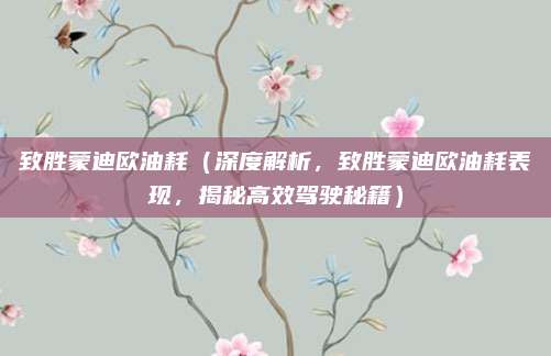 致胜蒙迪欧油耗(深度解析,致胜蒙迪欧油耗表现,揭秘高效驾驶秘籍)
