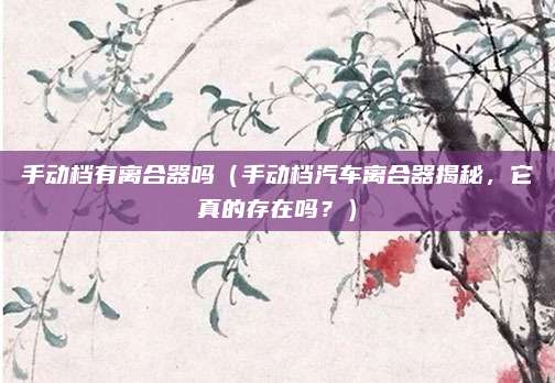 手动档有离合器吗（手动档汽车离合器揭秘，它真的存在吗？）