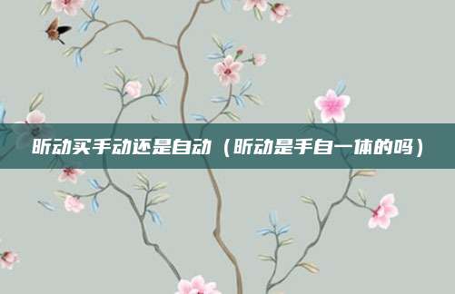 昕动买手动还是自动(昕动是手自一体的吗)