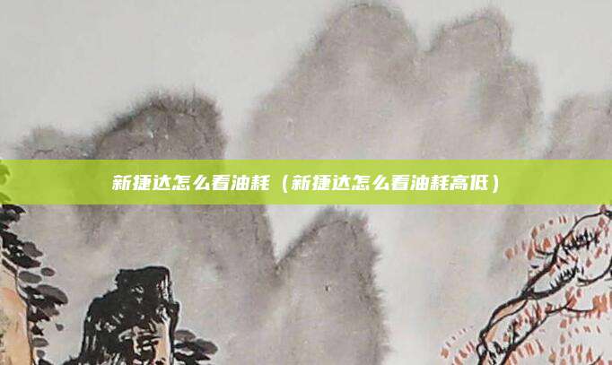 新捷达怎么看油耗(新捷达怎么看油耗高低)