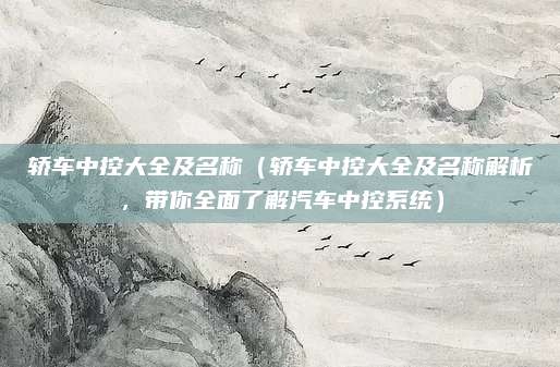 轿车中控大全及名称(轿车中控大全及名称解析,带你全面了解汽车中控系统)