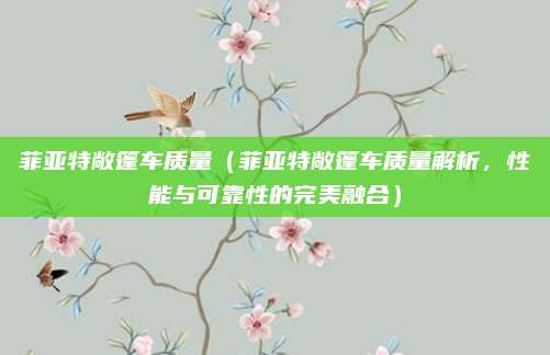 菲亚特敞篷车质量(菲亚特敞篷车质量解析,性能与可靠性的完美融合)