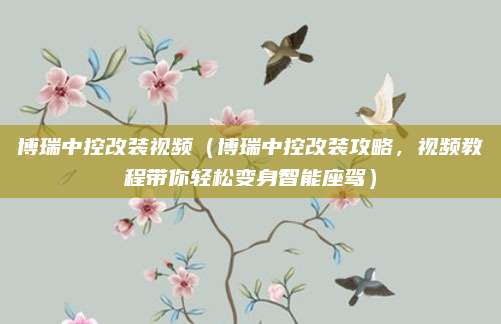 博瑞中控改装视频(博瑞中控改装攻略,视频教程带你轻松变身智能座驾)