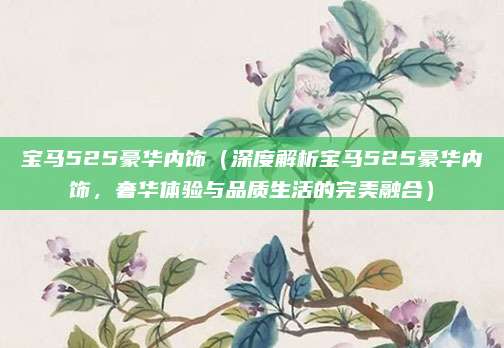 宝马525豪华内饰（深度解析宝马525豪华内饰，奢华体验与品质生活的完美融合）