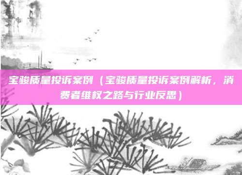 宝骏质量投诉案例(宝骏质量投诉案例解析,消费者维权之路与行业反思)