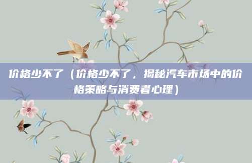 价格少不了（价格少不了，揭秘汽车市场中的价格策略与消费者心理）