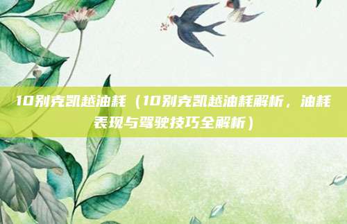 10别克凯越油耗(10别克凯越油耗解析,油耗表现与驾驶技巧全解析)