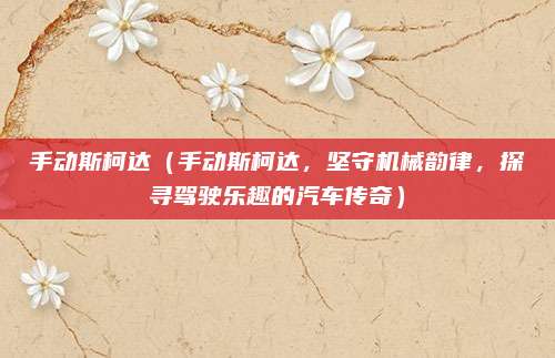 手动斯柯达(手动斯柯达,坚守机械韵律,探寻驾驶乐趣的汽车传奇)