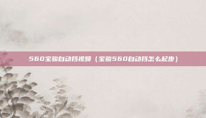 560宝骏自动挡视频(宝骏560自动挡怎么起步)