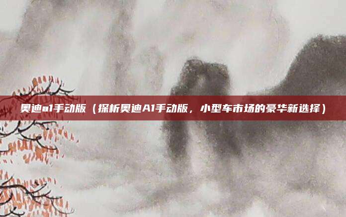 奥迪a1手动版(探析奥迪A1手动版,小型车市场的豪华新选择)
