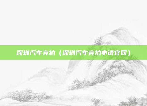 深圳汽车竞拍(深圳汽车竞拍申请官网)