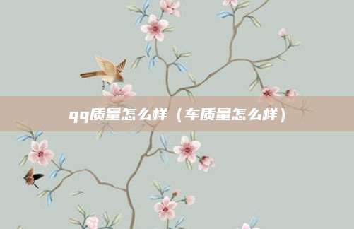 qq质量怎么样(车质量怎么样)