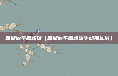 新能源车自动挡(新能源车自动挡手动挡区别)