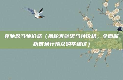 奔驰思马特价格(揭秘奔驰思马特价格,全面解析市场行情及购车建议)