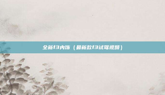 全新f3内饰(最新款f3试驾视频)