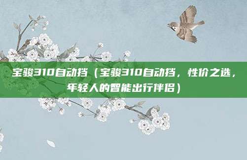 宝骏310自动挡(宝骏310自动挡,性价之选,年轻人的智能出行伴侣)