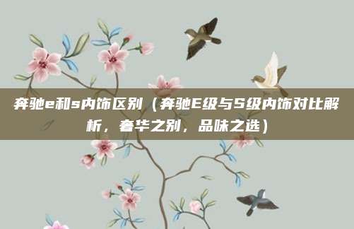 奔驰e和s内饰区别(奔驰E级与S级内饰对比解析,奢华之别,品味之选)