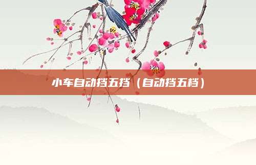 小车自动挡五挡(自动挡五档)