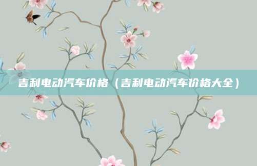 吉利电动汽车价格(吉利电动汽车价格大全)