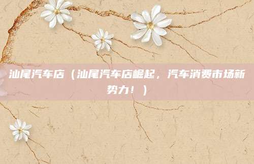 汕尾汽车店(汕尾汽车店崛起,汽车消费市场新势力!)