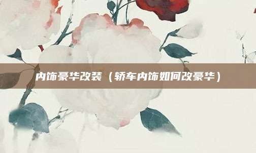 内饰豪华改装(轿车内饰如何改豪华)