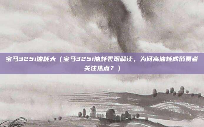 宝马325i油耗大（宝马325i油耗表现解读，为何高油耗成消费者关注焦点？）