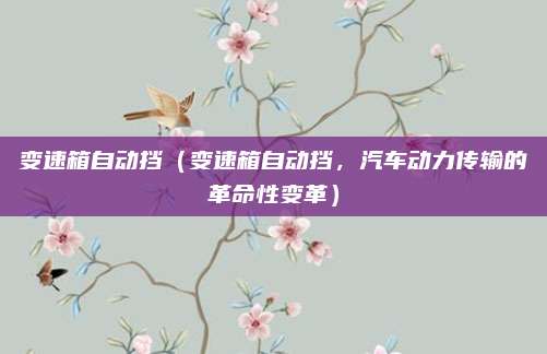变速箱自动挡(变速箱自动挡,汽车动力传输的革命性变革)