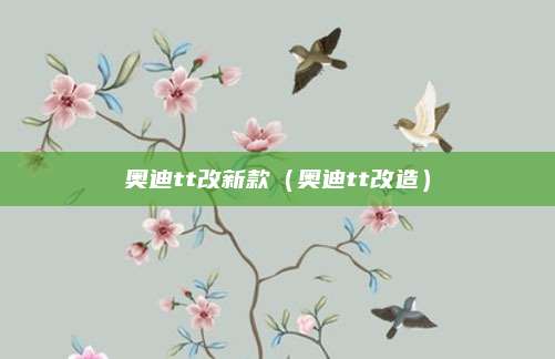 奥迪tt改新款(奥迪tt改造)