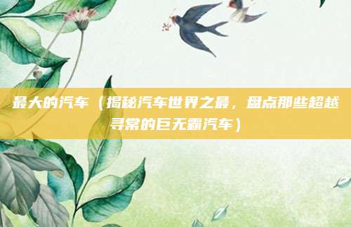 最大的汽车（揭秘汽车世界之最，盘点那些超越寻常的巨无霸汽车）