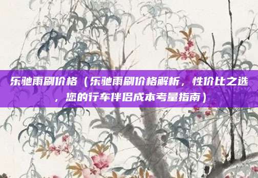 乐驰雨刷价格（乐驰雨刷价格解析，性价比之选，您的行车伴侣成本考量指南）