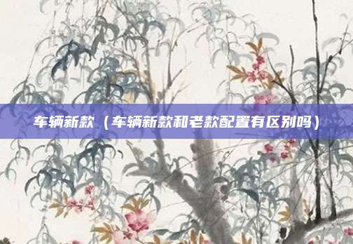 车辆新款(车辆新款和老款配置有区别吗)