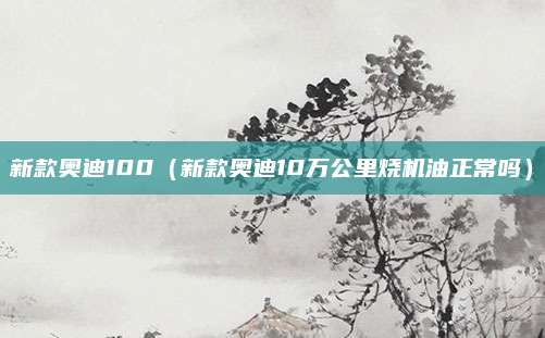 新款奥迪100(新款奥迪10万公里烧机油正常吗)