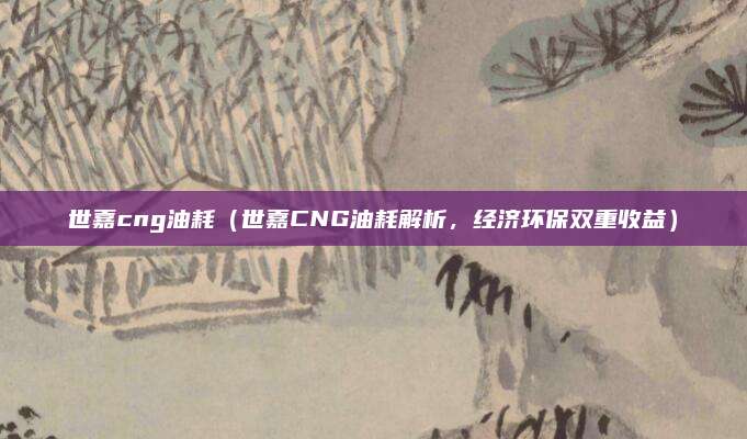 世嘉cng油耗(世嘉CNG油耗解析,经济环保双重收益)