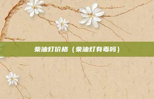 柴油灯价格(柴油灯有毒吗)