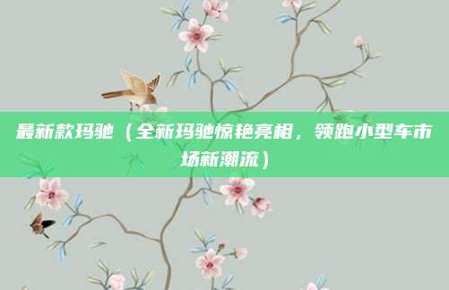 最新款玛驰(全新玛驰惊艳亮相,领跑小型车市场新潮流)