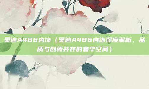 奥迪A4B6内饰(奥迪A4B6内饰深度解析,品质与创新并存的奢华空间)