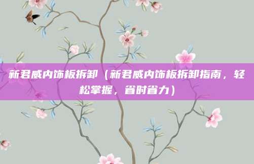 新君威内饰板拆卸(新君威内饰板拆卸指南,轻松掌握,省时省力)