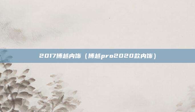 2017博越内饰(博越pro2020款内饰)