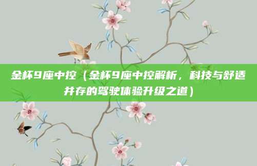 金杯9座中控(金杯9座中控解析,科技与舒适并存的驾驶体验升级之道)