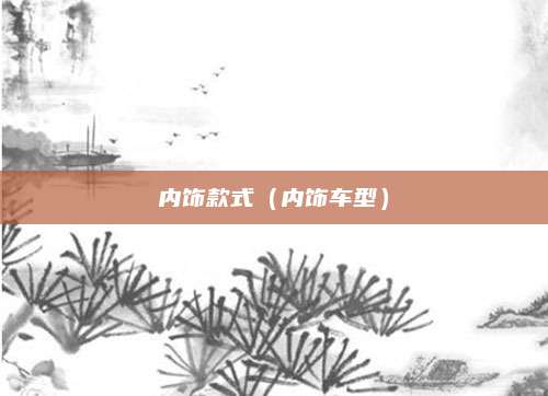 内饰款式(内饰车型)