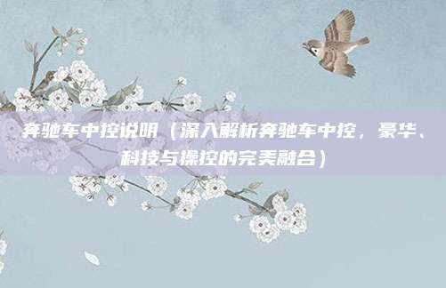 奔驰车中控说明(深入解析奔驰车中控,豪华、科技与操控的完美融合)