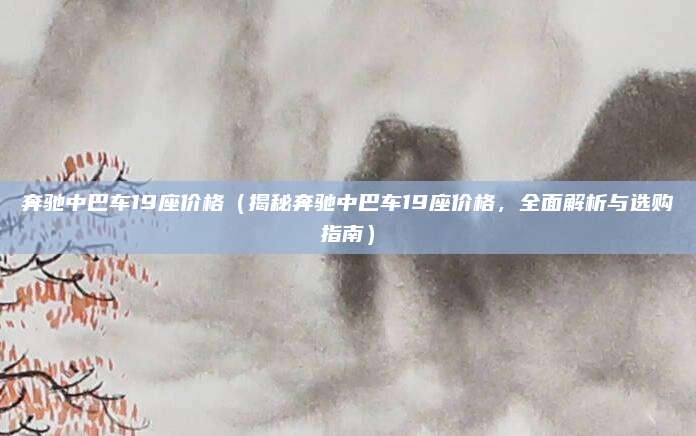 奔驰中巴车19座价格(揭秘奔驰中巴车19座价格,全面解析与选购指南)