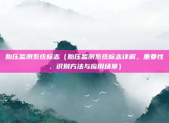 胎压监测系统标志(胎压监测系统标志详解,重要性、识别方法与应用场景)