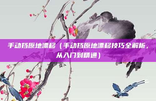 手动挡原地漂移(手动挡原地漂移技巧全解析,从入门到精通)