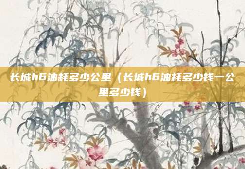 长城h6油耗多少公里(长城h6油耗多少钱一公里多少钱)