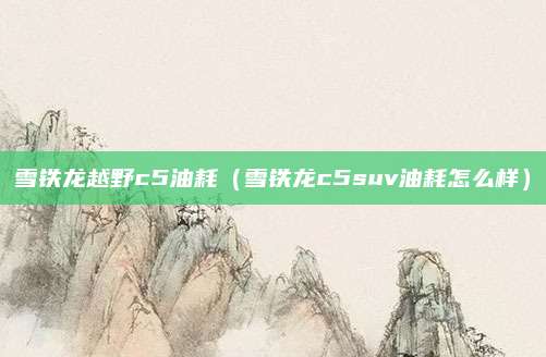 雪铁龙越野c5油耗(雪铁龙c5suv油耗怎么样)